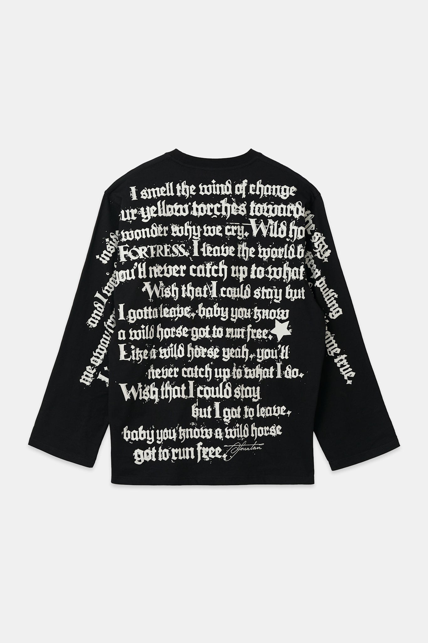 HORSES LYRIC LONG SLEEVE - 2