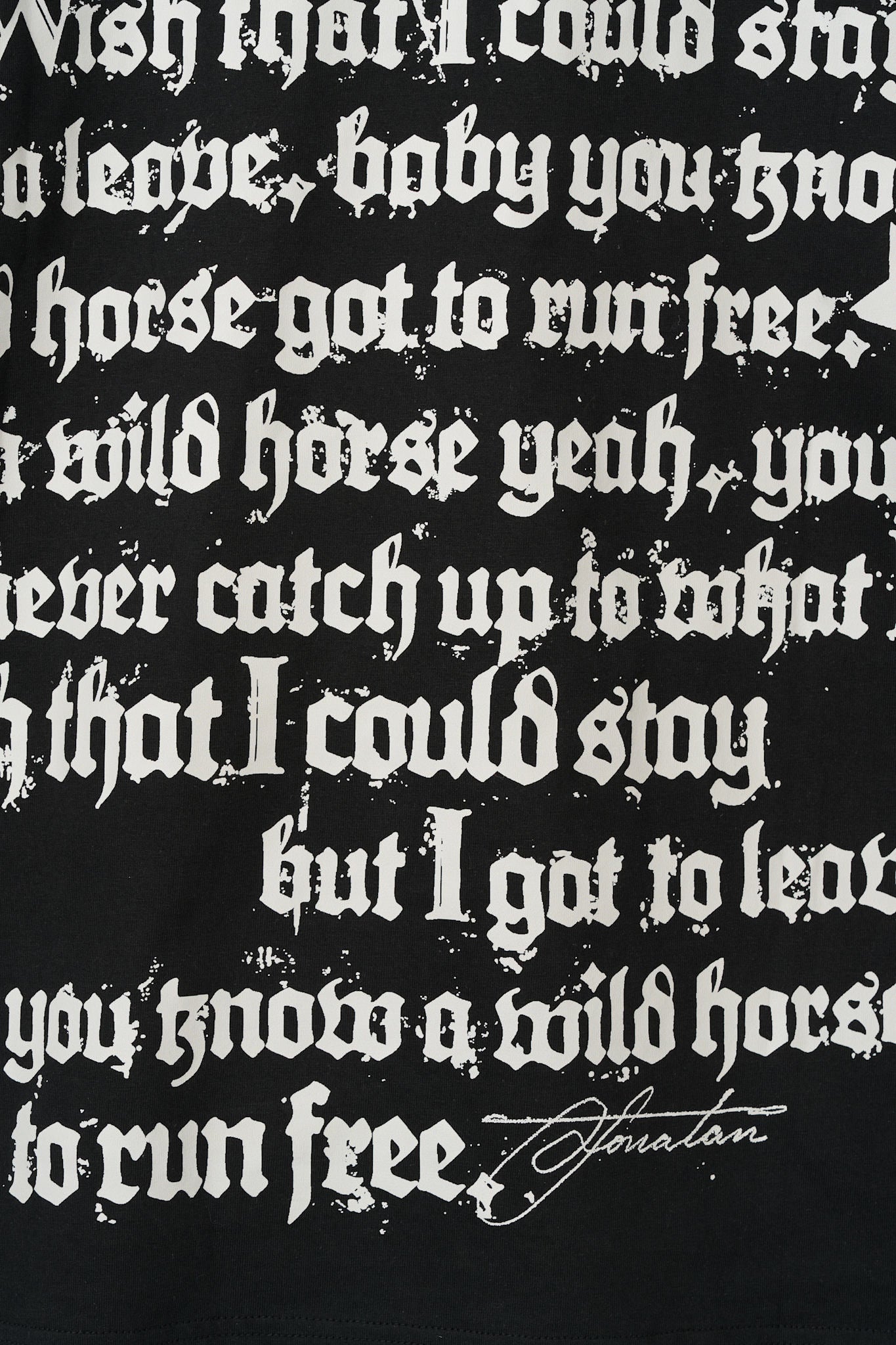 HORSES LYRIC LONG SLEEVE - 3